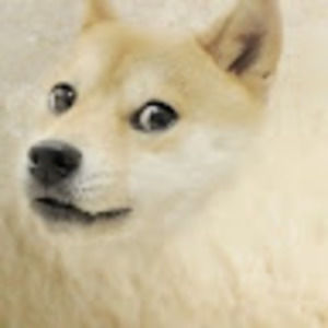 Meet your Posher, Mrcrunchyrice